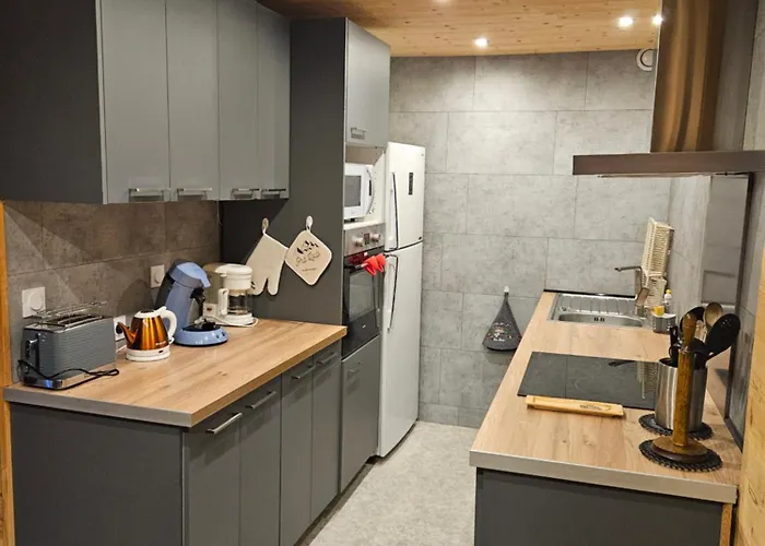 Spacieux Pra Loup T4 11 Pers. 105m²